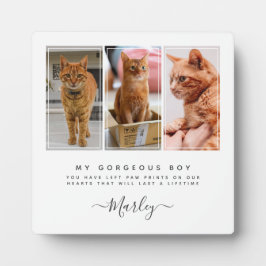 Haustier-Loss-Geschenk für Hunde und Katze, Gedenk Fotoplatte