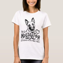 Haustier Maligator Belgischer Malinois