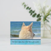 Haustier mit Inspirationsbotschaft Postkarte (Stehend Vorderseite)