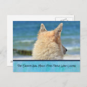 Haustier mit Inspirationsbotschaft Postkarte (Vorne/Hinten)