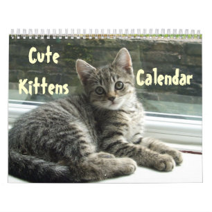 Haustier Niedlich Kitten Cat Peace Liebe Zielort Kalender