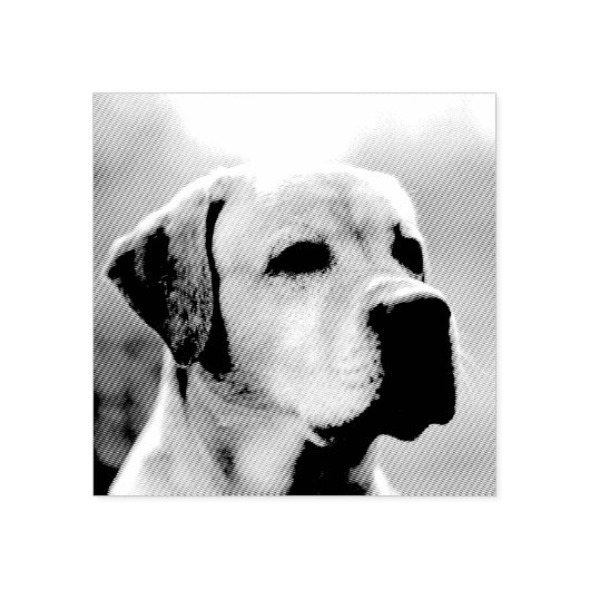 Haustier oder anderes Personalisiertes Foto Gummistempel (Prägung)