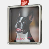 Haustier Ornament Aus Metall (Links)