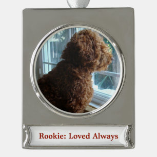 Haustier/Person (personalisieren) Banner-Ornament Silber