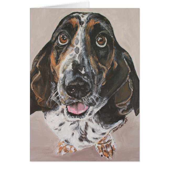 Haustier-Porträt - Basset Hound (Vorne)