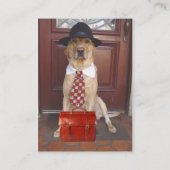 Haustier-Produkte u. Dienstleistungen Visitenkarte (Rückseite)