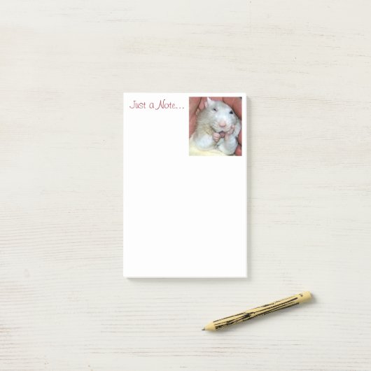 Haustier-Ratte Bridget Post-Itanmerkungen Post-it Klebezettel (Auf Schreibtisch)