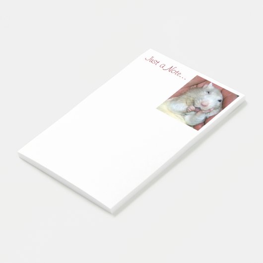 Haustier-Ratte Bridget Post-Itanmerkungen Post-it Klebezettel (angewinkelt)