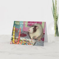Haustier-Ratte Ollie Geburtstags-Karte