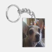 Haustier Schlüsselanhänger (Vorderseite links)