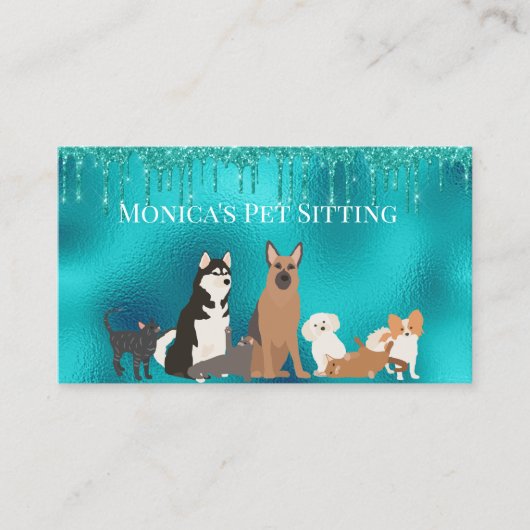 Haustier sitzend Katze Haustier sitzend Robin's Ei Visitenkarte (Vorderseite)