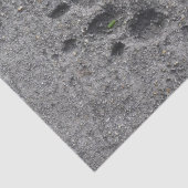 Haustier-Tatzen im Zement - immer dort Seidenpapier (Ausschnitt)