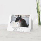 Haustier-Tod, Beileid Karte (Rückseite)