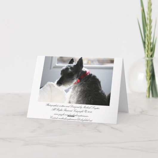 Haustier-Tod, Beileid Karte (Rückseite)