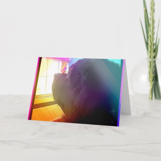 Haustier-Verlust-Gruß-Karte Karte (Vorderseite)