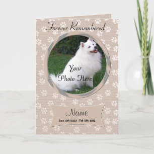 Haustier-Verlust-Hunde-oder Ankündigung