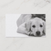 Haustier-Versorgung/Groomer/etc. Visitenkarte (Rückseite)