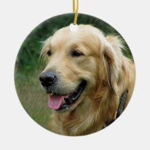 Haustier-WeihnachtsFoto-Geschenkandenken