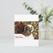 Haustier-Weihnachtskarte Feiertagspostkarte (Stehend Vorderseite)
