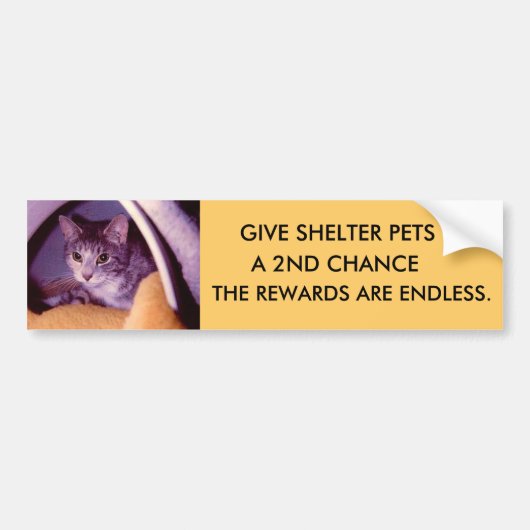 HAUSTIERE AUTOAUFKLEBER (Vorne)