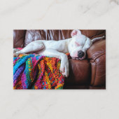 Haustiere, die auf dem Sofa schlafen. Visitenkarte (Vorderseite)
