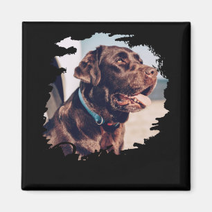 Haustiere Einfach Moderne Coole Tygraphie Name Und Magnet