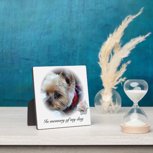 Haustiere Fotoplatte (InSitu)