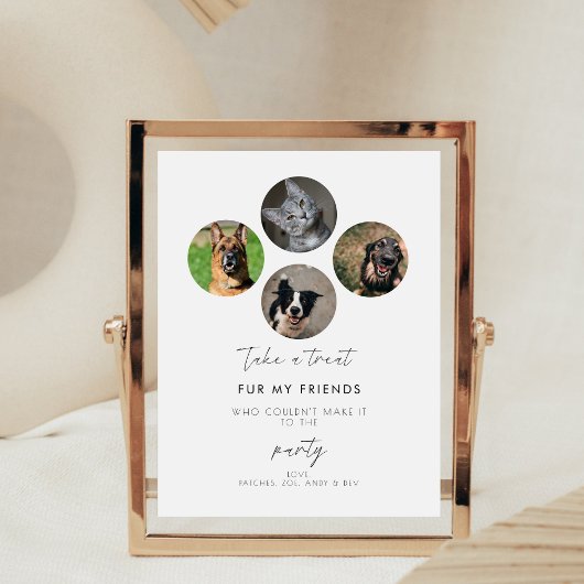 Haustiere Gastgeschenk Biscuit Bar Hund Leckerei H Sockelschild