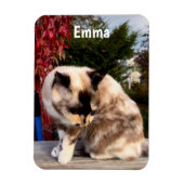 Haustiere, Haustiere, Katzen-Foto-Kühlschrank Magnet (Vertikal)