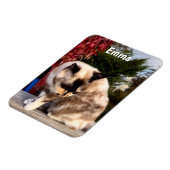 Haustiere, Haustiere, Katzen-Foto-Kühlschrank Magnet (Linke Seite)
