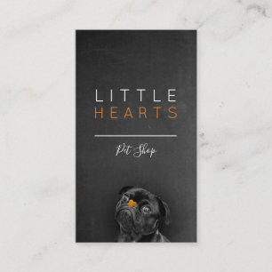 Haustiere / Haustierpflege / Sitzungsdienste Visitenkarte