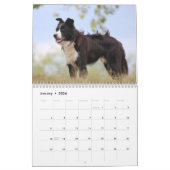 Haustiere Hunde Custom Fotos Moderne Niedlich 12 M Kalender (Jan 2026)