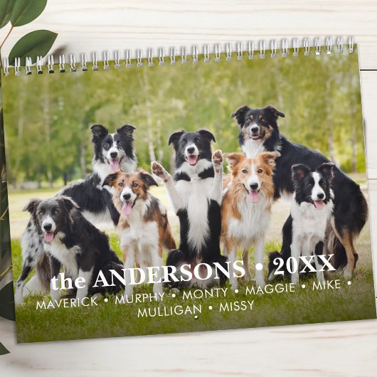 Haustiere Hunde Custom Fotos Moderne Niedlich 12 M Kalender