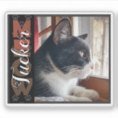 Haustiere Individuelle Name und Foto Aufkleber (Vorderseite)