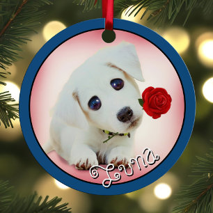 Haustiere Keepake 2 Fotos & Names Holiday Dog Cat Ornament Aus Metall
