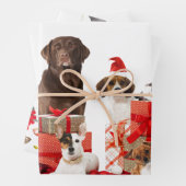 Haustiere mit Weihnachtsmannmützen Umhüllungspapie Geschenkpapier Set (Beispiel)