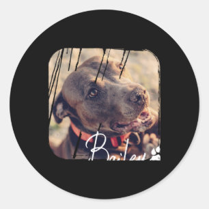 Haustiere Modern Einfach Coole Nge Name Und Foto Runder Aufkleber