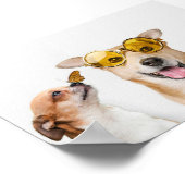 Haustiere Poster (Ecke)