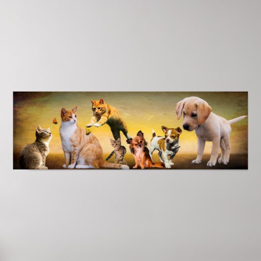 Haustiere Poster (Vorne)