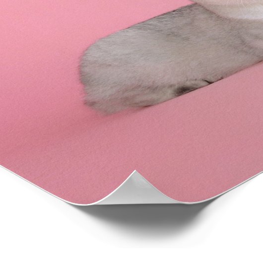 Haustiere sind Bündel von Lieben // Katzen und Hun Poster (Ecke)