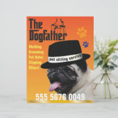 Haustiere Sitzen 🐾 Dogvater Dog Walker vertrauens (Stehend Vorderseite)