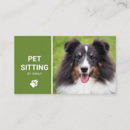 Haustiere Sitzende Hunde Service Happy Sheltie Dog Visitenkarte