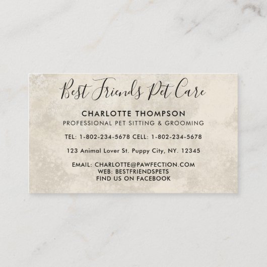 Haustiere Sitzende Katze Pferd Elegante Tiere Visitenkarte (Rückseite)