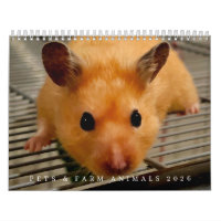 Haustiere und Nutztiere Kalender 2026