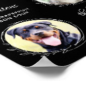 Haustiere Unterschrift Getränke Custom 3 Foto Hoch Poster (Ecke)