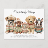 Haustiere Weihnachten Niedlicher Hund Katzen Haust (Vorderseite)