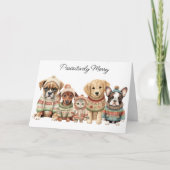 Haustiere Weihnachten Niedlicher Hund Katzen Haust (Vorderseite)