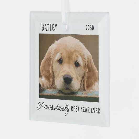 Haustiere Welpen Hund benutzerdefiniertes Foto Jah Ornament Aus Glas (Vorderseite links)