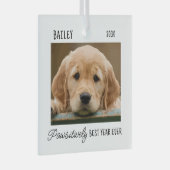 Haustiere Welpen Hund benutzerdefiniertes Foto Jah Ornament Aus Glas (Vorderseite Rechts)