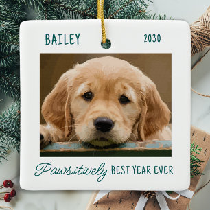 Haustiere Welpen Hund Foto Grüne Covid Quarantäne Keramikornament